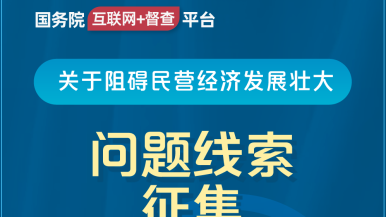 骚逼操的舒服吗国务院“互联网+督查”平台公开征集阻碍民营经济发展壮大问题线索